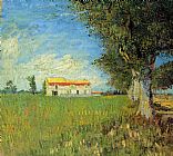Farmhouses in a Wheat Field by Vincent van Gogh